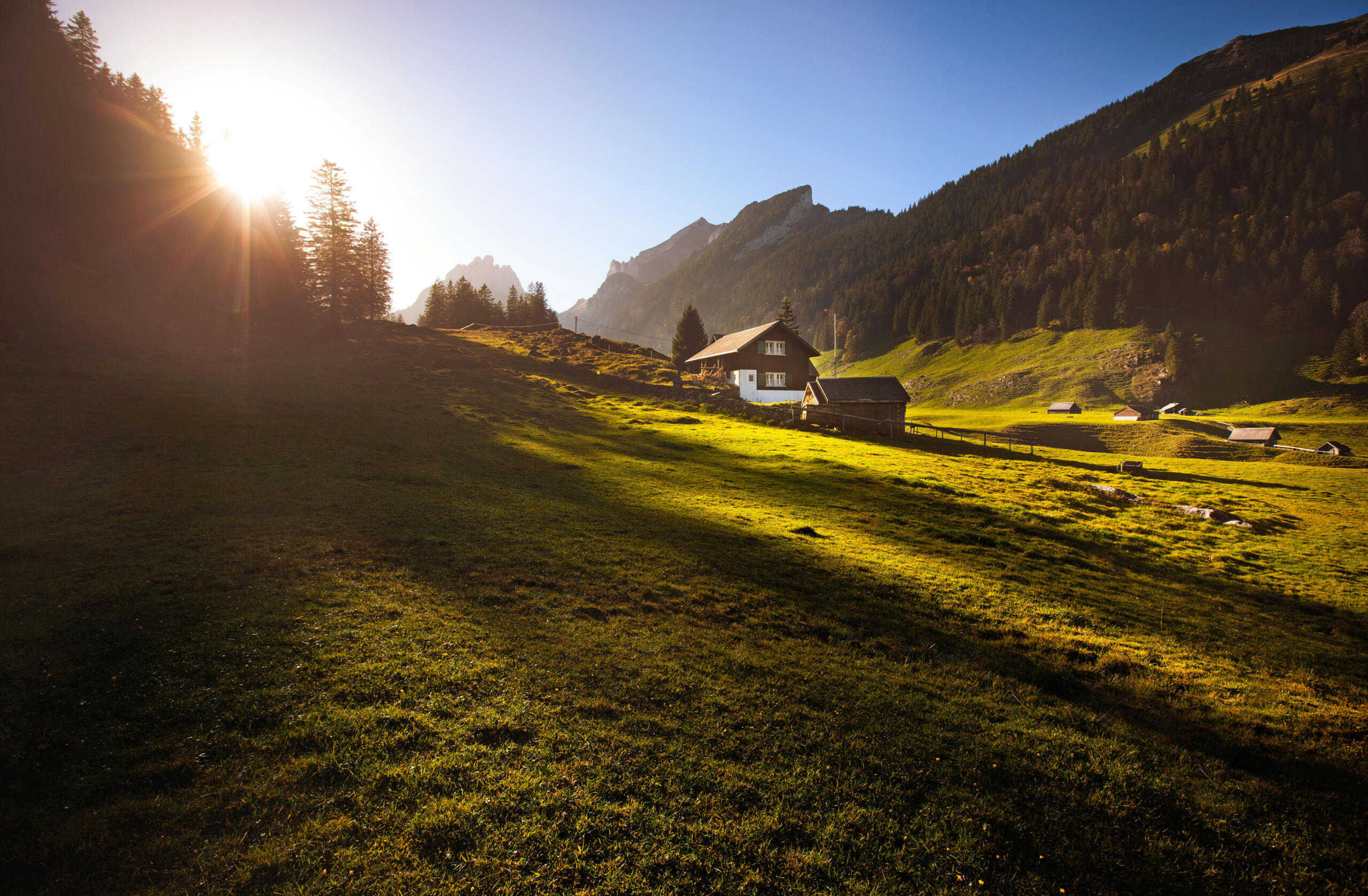 NFH Tannhütte