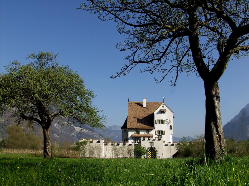 une maison au milieu d'un champ 