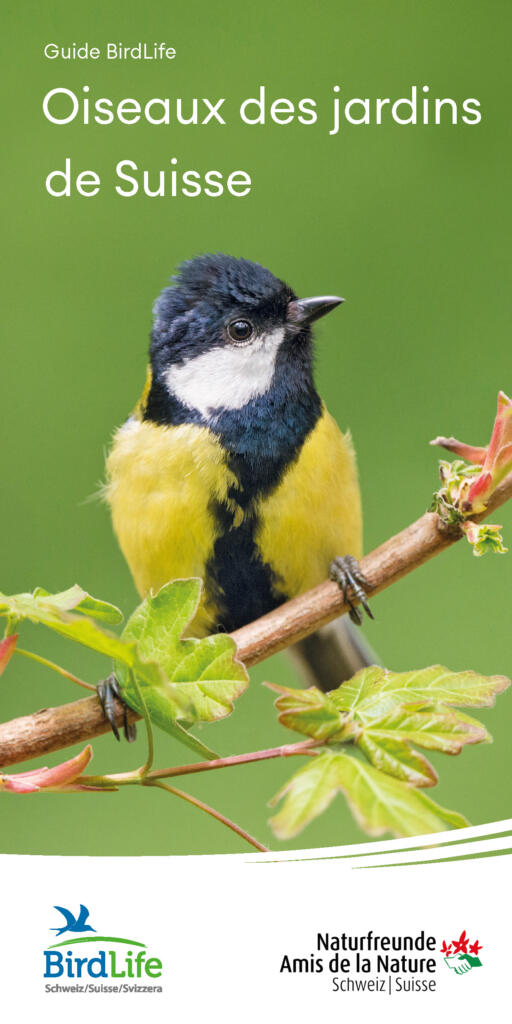 Oiseaux des jardins de Suisse