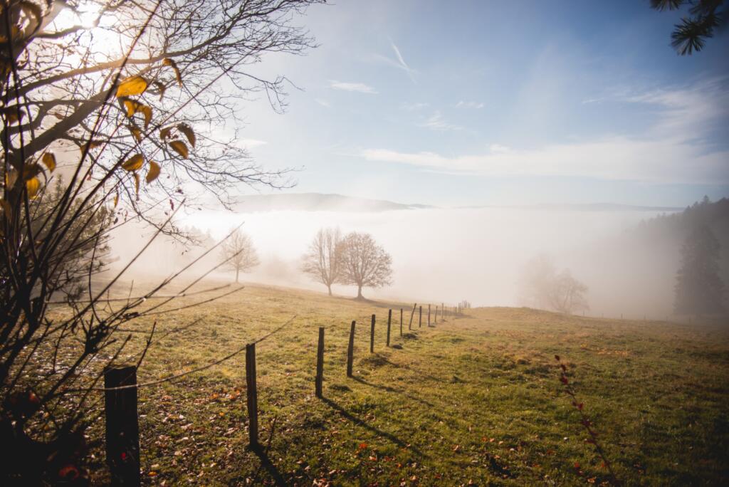 matin brumeux dans les montagnes 