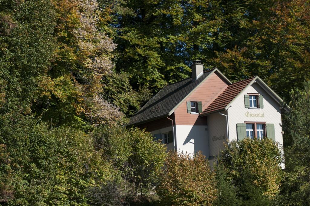 ein Haus im Wald 