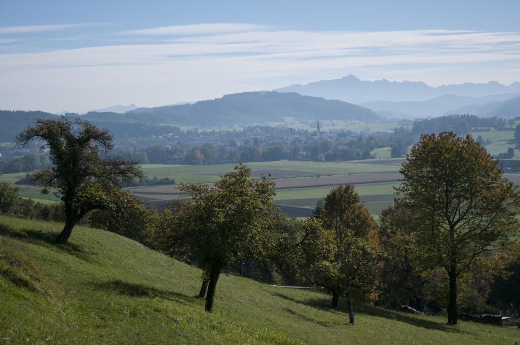 une vue sur les montagnes depuis le sommet d'une colline 
