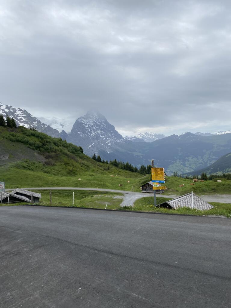 Grosse Scheidegg 2026
