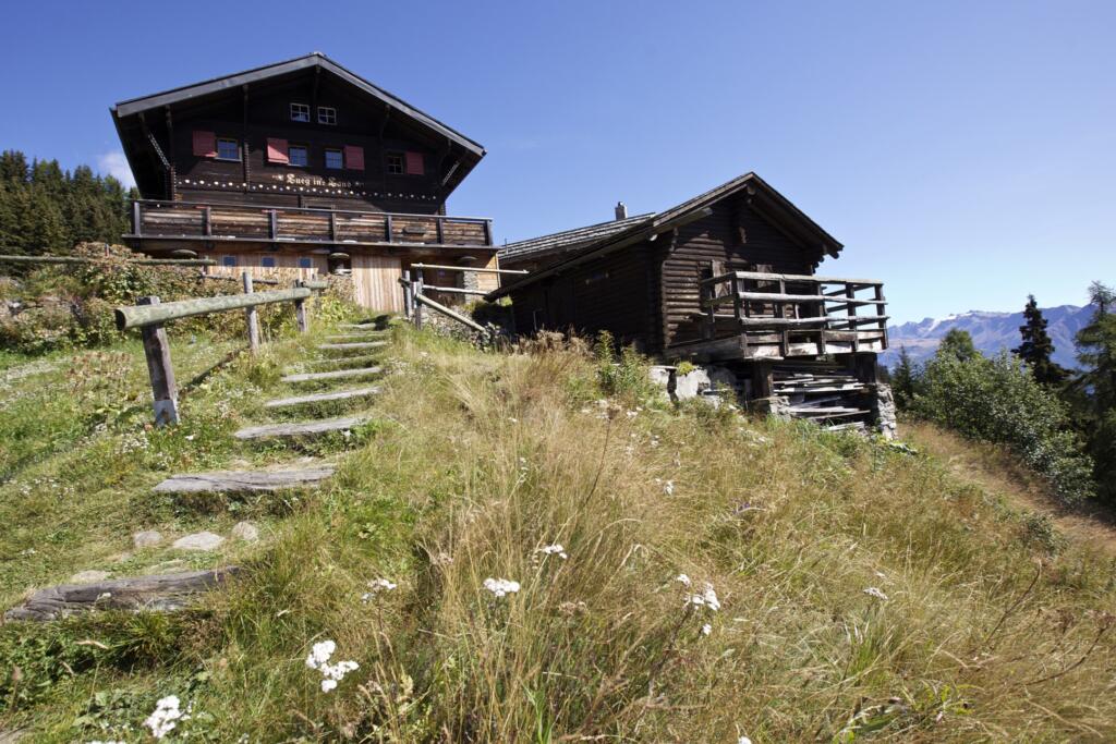 le chalet dans les alpes 