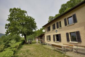 das Haus ist von Bäumen und einem Picknicktisch umgeben